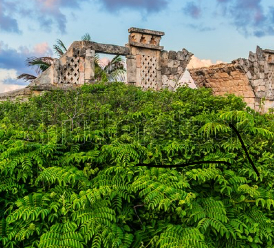 Isla Mujeres